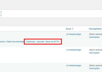 screenshot-1 - Lake Stylez - Mediendesign